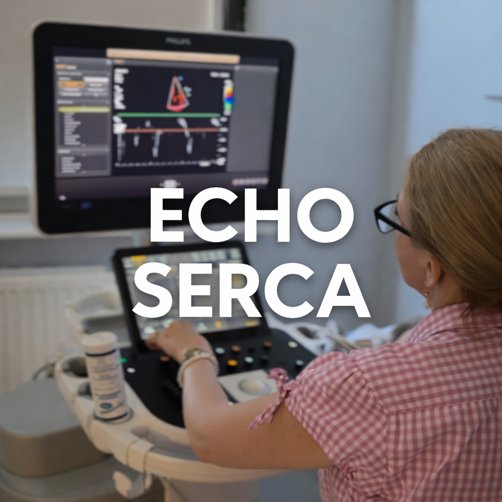 Echo serca Warszawa Ochota